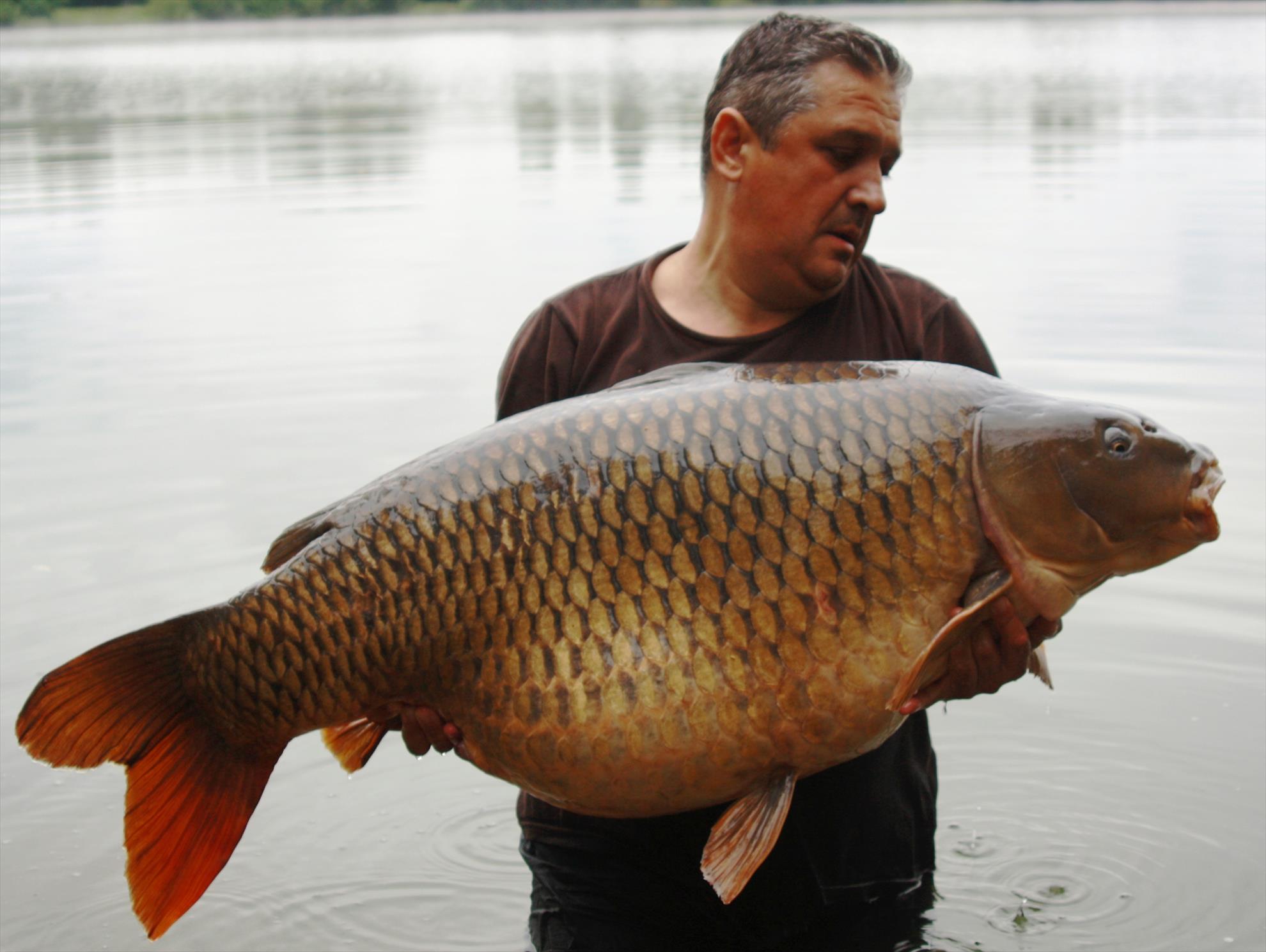 new personal best - 31 kg - img5.JPG